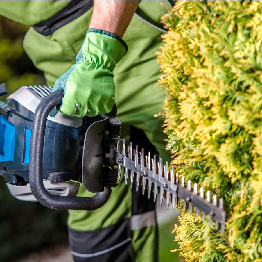 Jardinería en Moratalaz Madrid Jardinería en Moratalaz Madrid